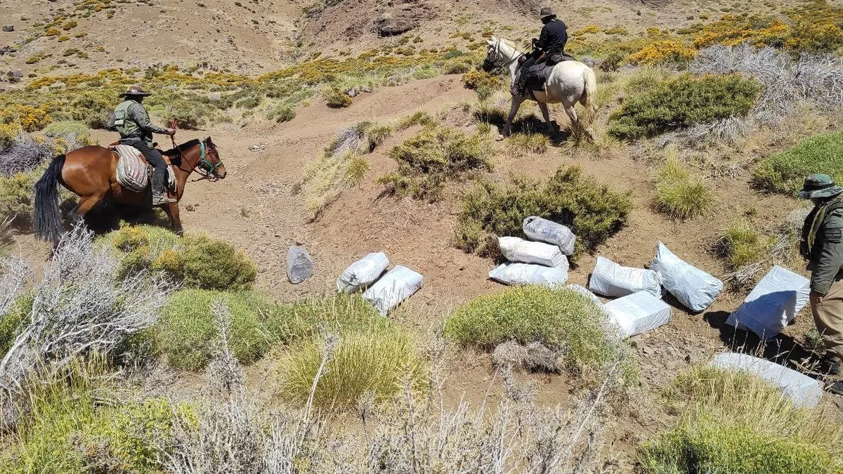 Millonario hallazgo en Neuquén, cerca de la frontera chilena: qué había en los "bolsones" abandonados 