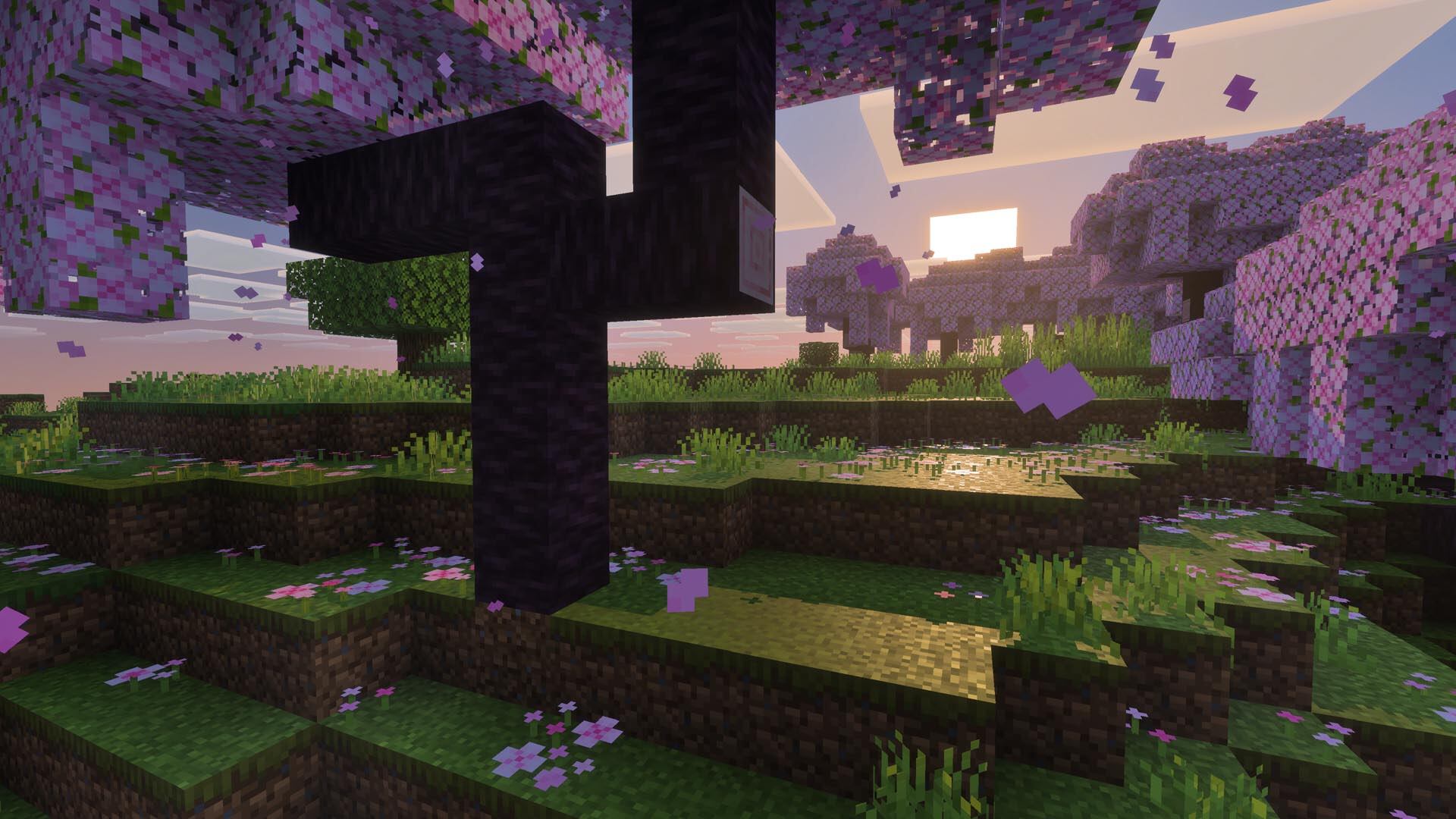 image preview(placeholder)