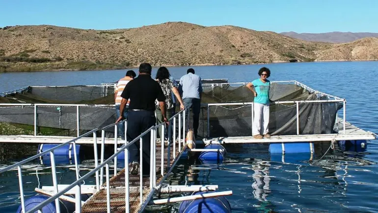 Dónde está y cómo es el paraíso de la pesca de truchas gigantes y "peleadoras"