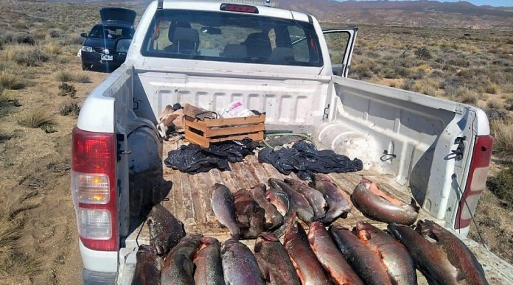 Pescaban con redes en el lago Mari Menuco y después los vendían por internet