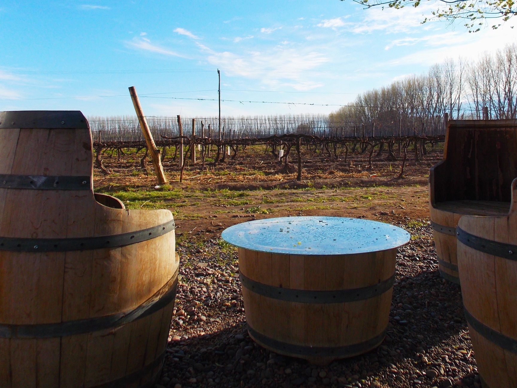 El enoturismo, la nueva apuesta económica de las bodegas rionegrinas