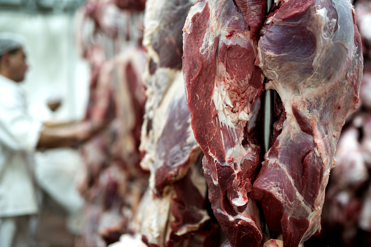 El adelantado ajuste en la hacienda en pie ya impacta en el precio de la carne
