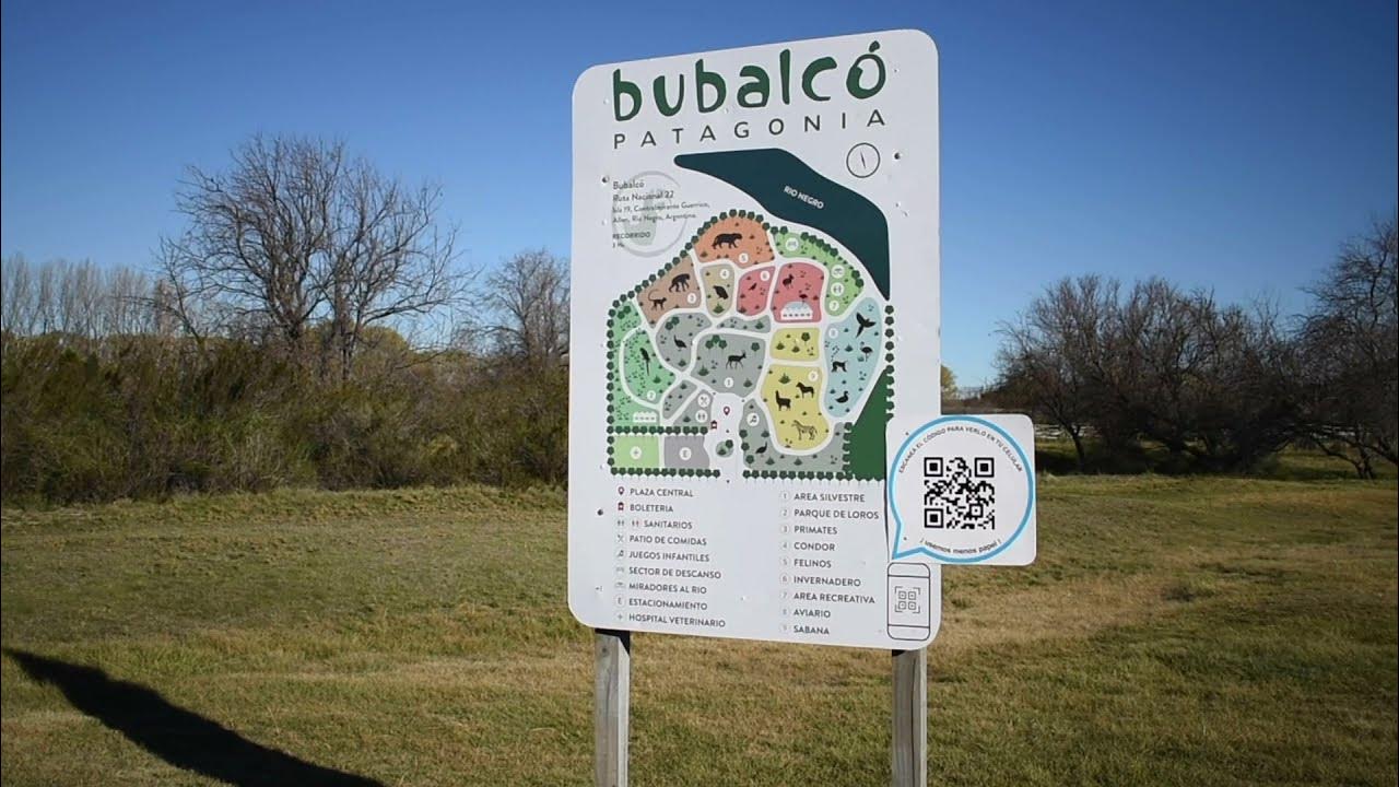 Vacaciones sin fin: Bubalcó, el plan perfecto para febrero con los más chicos