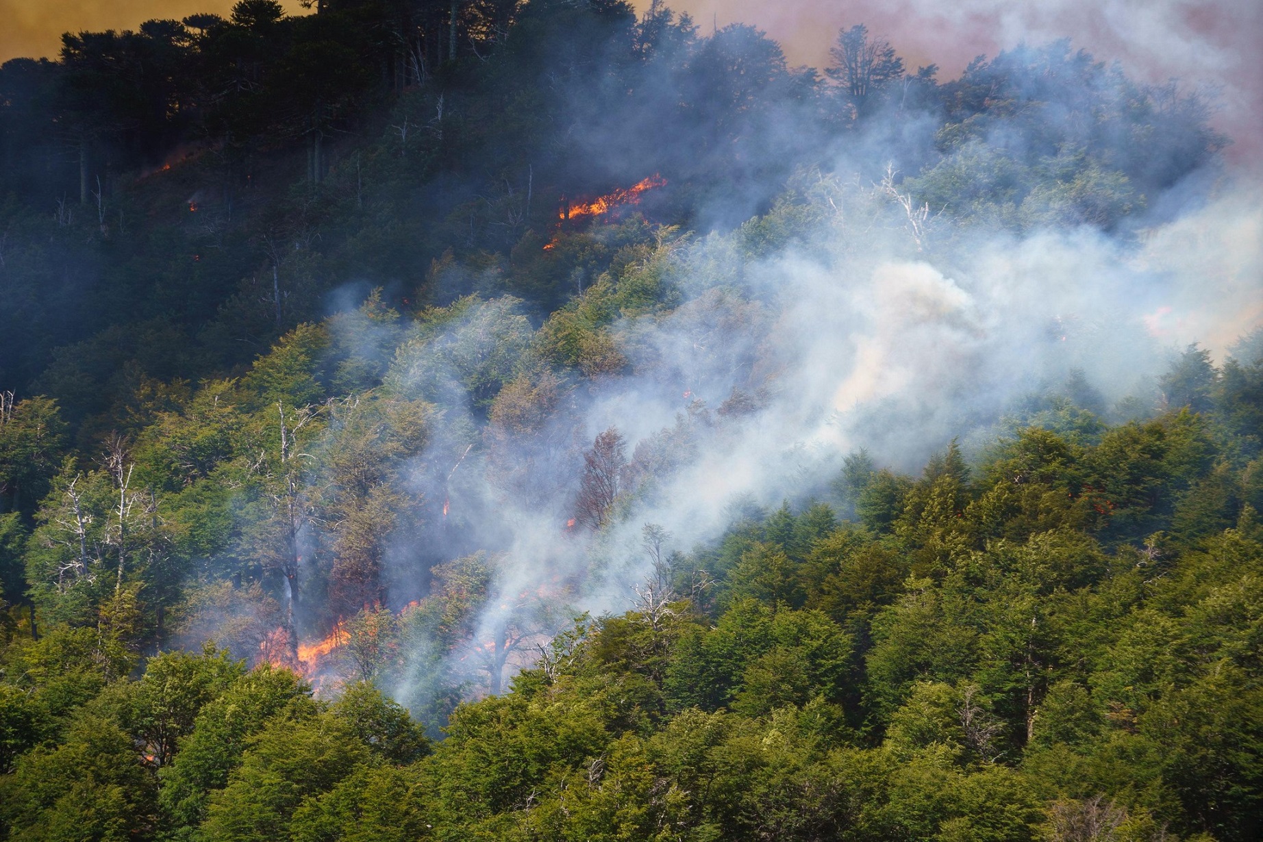 Ante la emergencia por incendios, suspenden la Fiesta del Puestero 2025