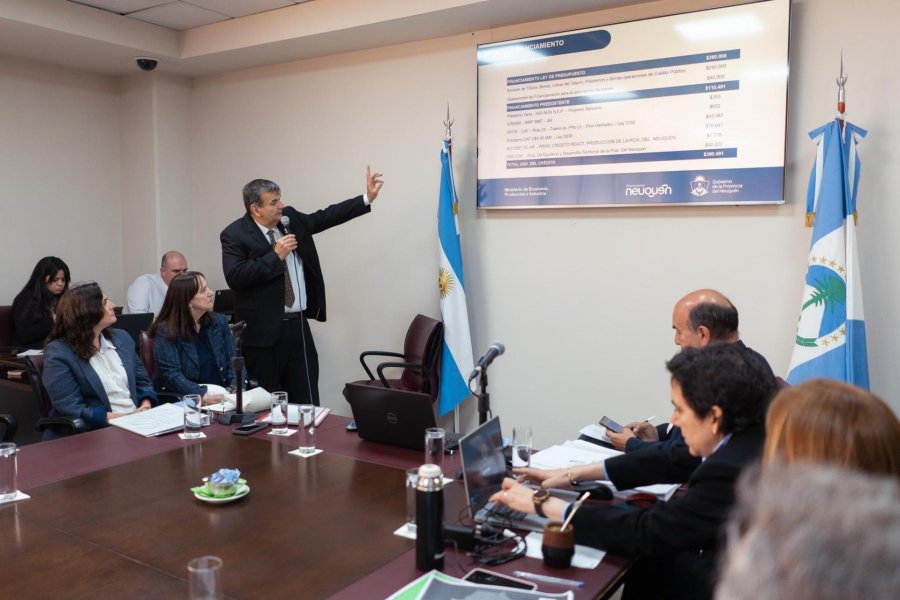 El ministro de Economía presentó un presupuesto con superávit en Neuquén