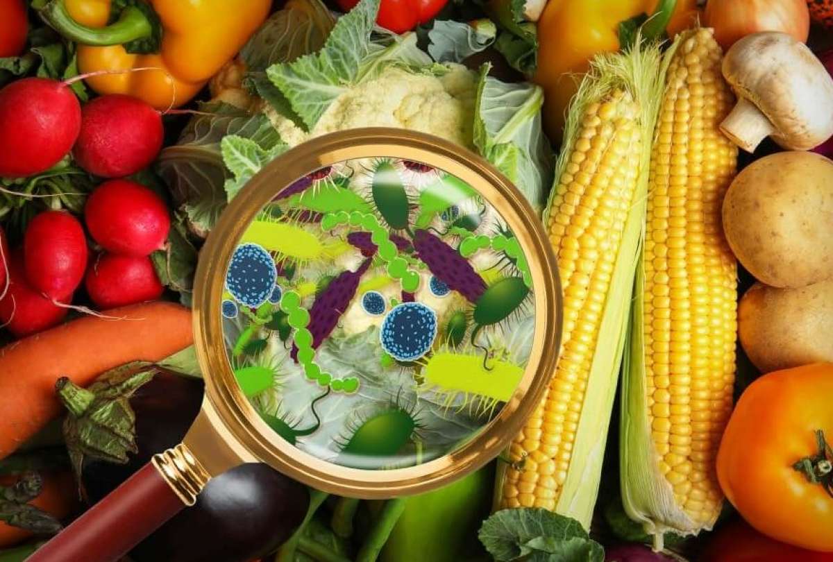 Alimentos contaminados: los riesgos invisibles en la mesa y cómo evitarlos