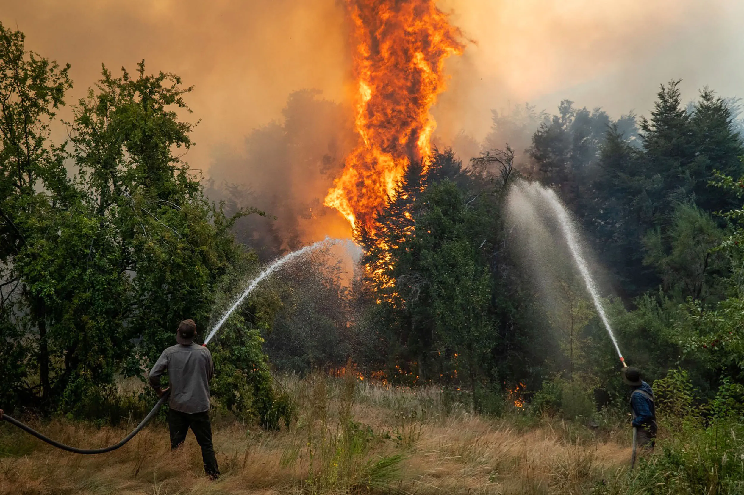 Los incendios en la Patagonia ya arrasaron 37.000 hectáreas