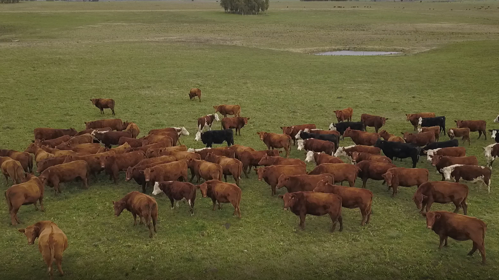 Jubilados vendieron un campo y a los pocos días les robaron 40 mil dólares