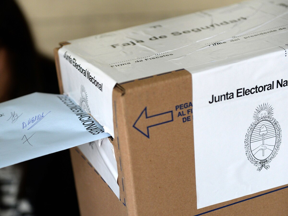 Desaparecieron 16 partidos políticos neuquinos por no presentar la documentación: cuáles son