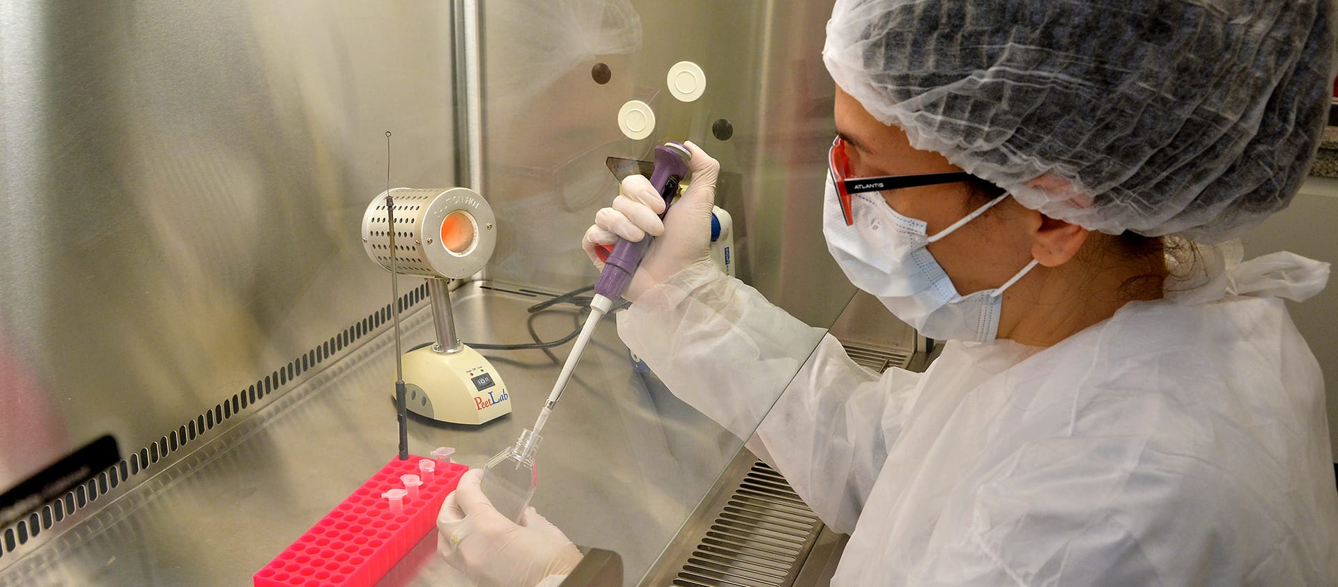Innovación argentina: Conicet desarrolla kits de diagnóstico con IA