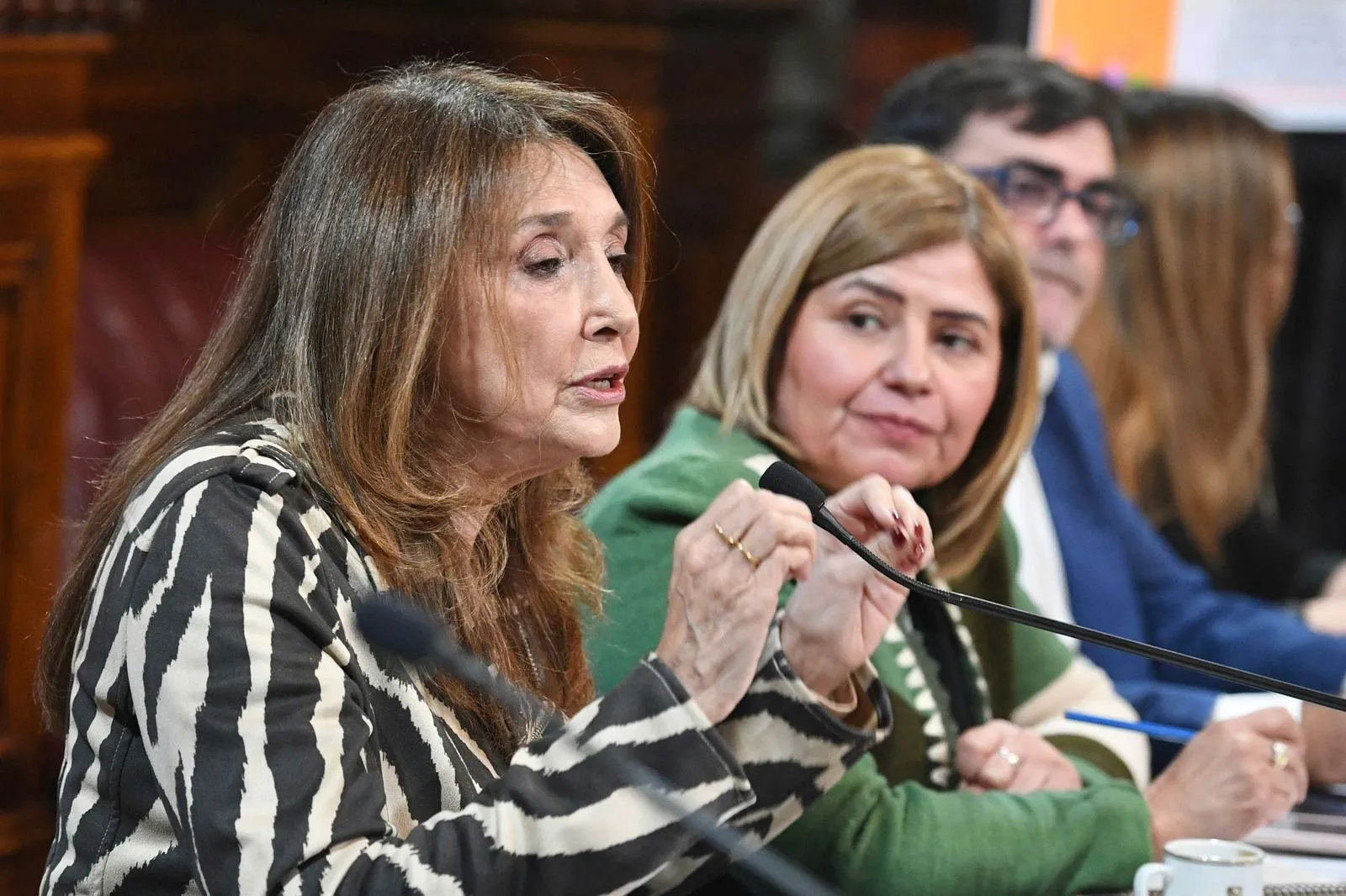 Arranca el debate en la bicameral sobre la continuidad de la Defensora del Niño, que prorrogó su cargo sin aval
