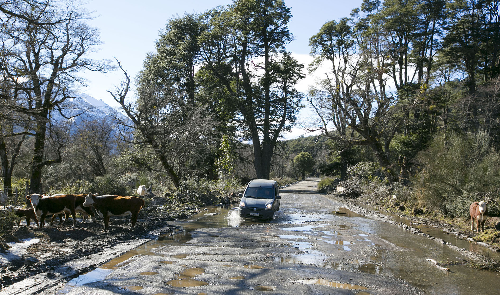 Semana Santa: Estado Actual de la Ruta 65 Hacia Villa Traful