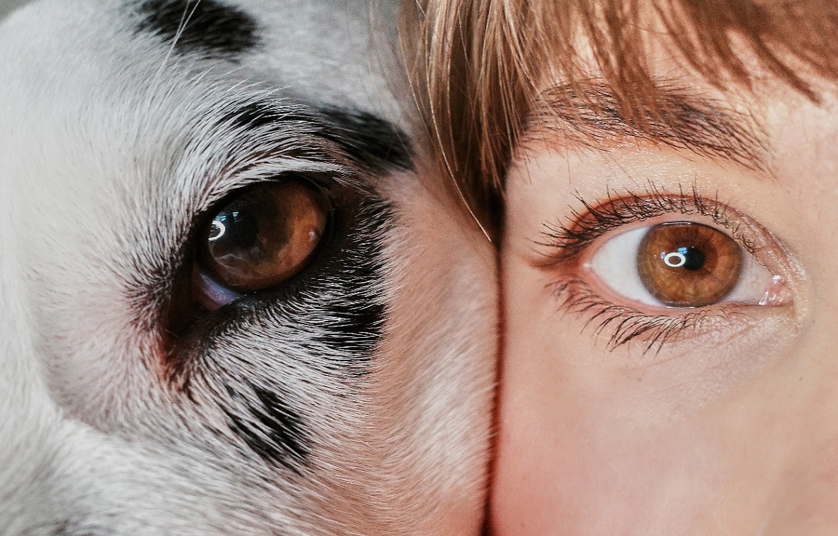 No todo es blanco y negro: cómo es la vista de los animales