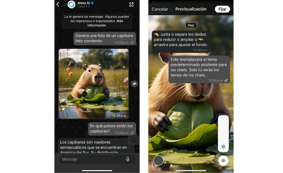 image preview(placeholder)