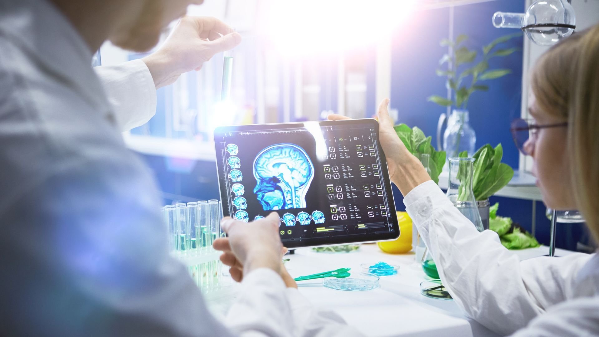 Alzheimer: científicos de Harvard investigan una terapia que podría recuperar la memoria
