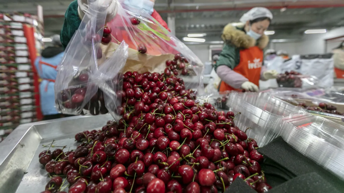 Argentina: ¿Por qué están creciendo las importaciones de cerezas ?