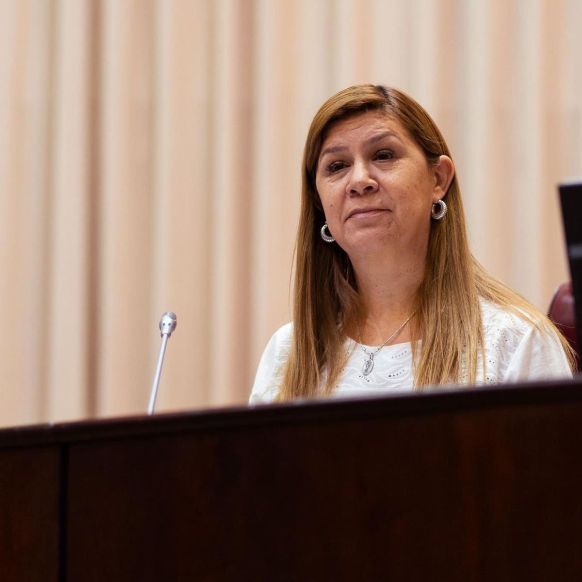 Gloria Ruiz se presentará a hacer su descargo ante la comisión de Asuntos Constitucionales